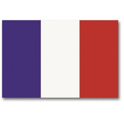 Flag France 90x150 cm Mil-Tec