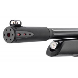PCP GAMO Arrow 4.5mm 19.9J rifle + 3-9x40wr scope