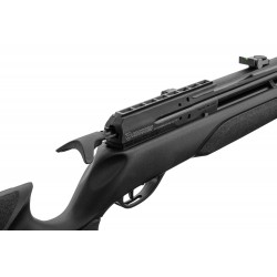 PCP GAMO Arrow 4.5mm 19.9J rifle + 3-9x40wr scope